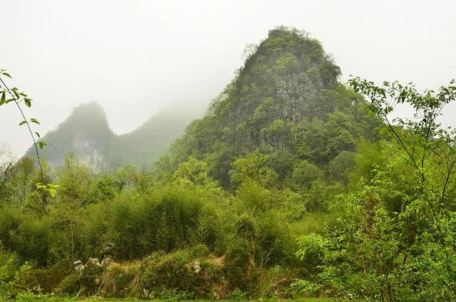 雾气环绕的荔波喀斯特山峰